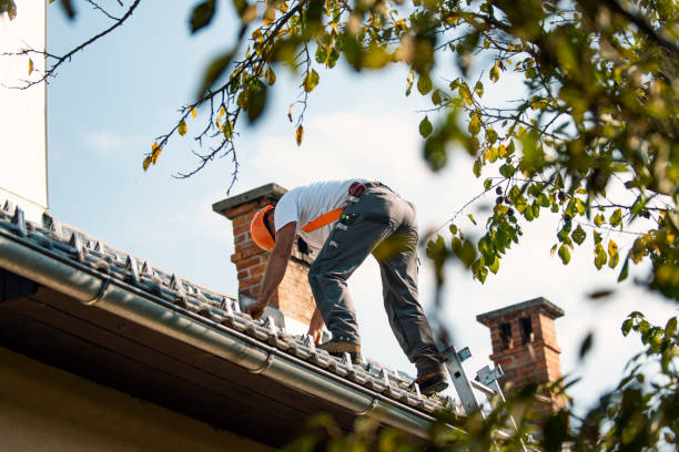 Quick and Trustworthy Emergency Roof Repair Services in Muscle Shoals, AL