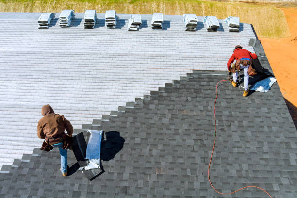 Best Gutter Installation and Roofing  in Muscle Shos, AL