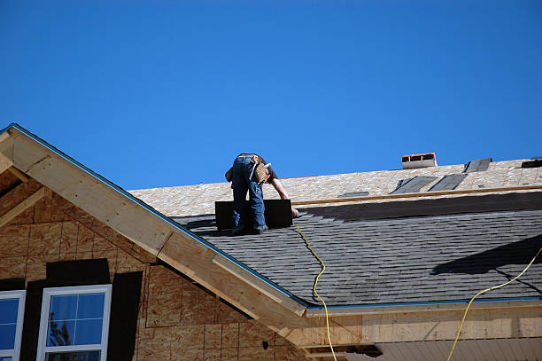 Best Roof Maintenance Services  in Muscle Shos, AL