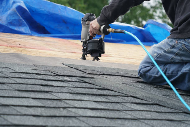 Best Metal Roofing Contractor  in Muscle Shos, AL