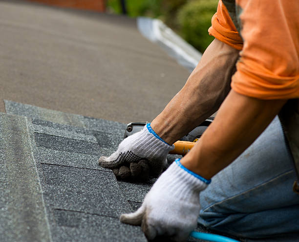 Best Roof Inspection Near Me  in Muscle Shos, AL