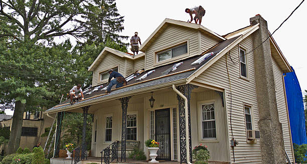 Best Roof Repair Services  in Muscle Shos, AL