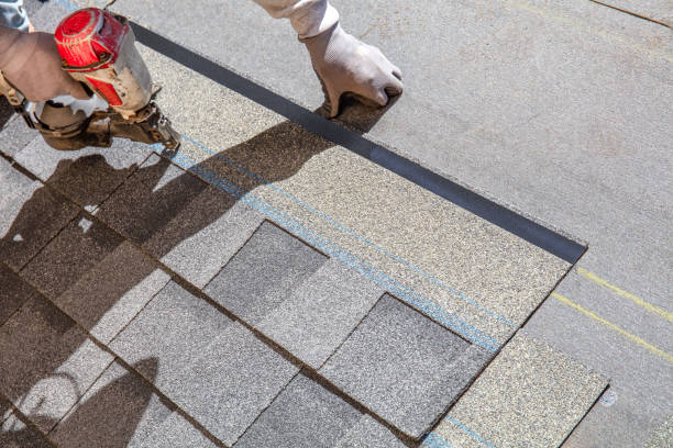 Best Roof Leak Repair  in Muscle Shos, AL